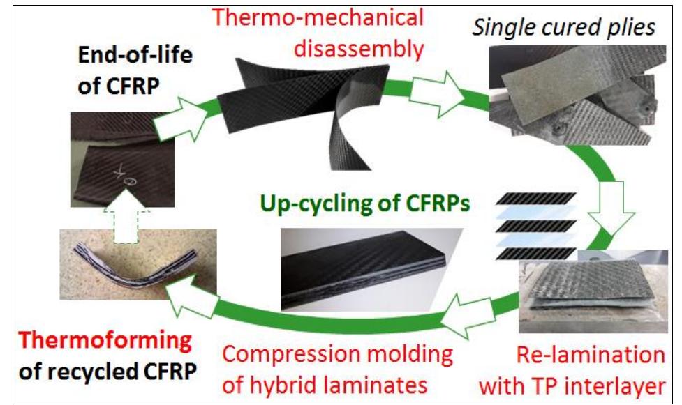 (PDF) Recycling of Carbon Fiber Laminates by Thermo-mechanical ...