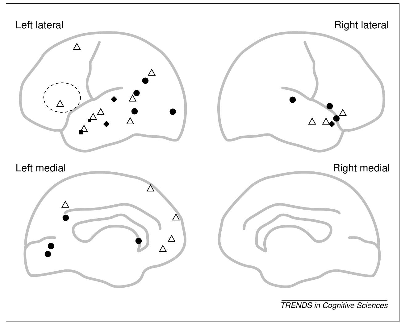 Fig. 3. Sentences versus words. Activation for reading or listening to sentences versus word lists. [19] passive reading; = [27] passive reading; @ [36] acceptability judgment; @ [34] Jabberwocky and normal speech, structure judgment task (roi, est.—see Fig. 2 legend); A [25] sentence plausibility task versus lexical decision in word lists. Compared with word lists, processing sentences does not lead to an increase in the left inferior frontal cortex, except in one study that used different tasks for the two conditions [25]. In general, processing sentences versus words leads to an increased activation in the anterior, superior, and middle areas of the temporal lobe (BA 38,21 ,22). 
