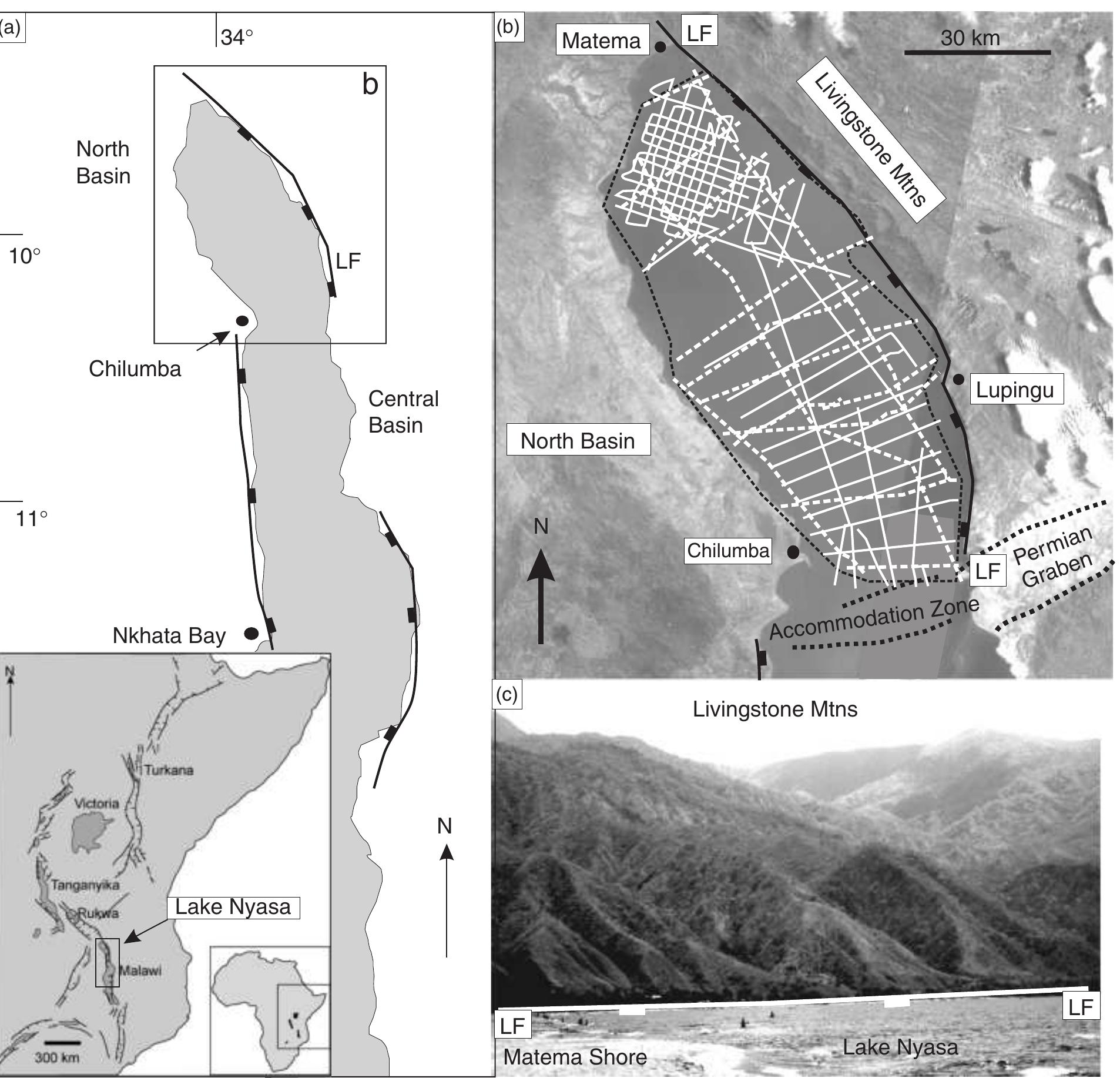 (PDF) Orthogonal to oblique rifting: effect of rift basin orientation ...