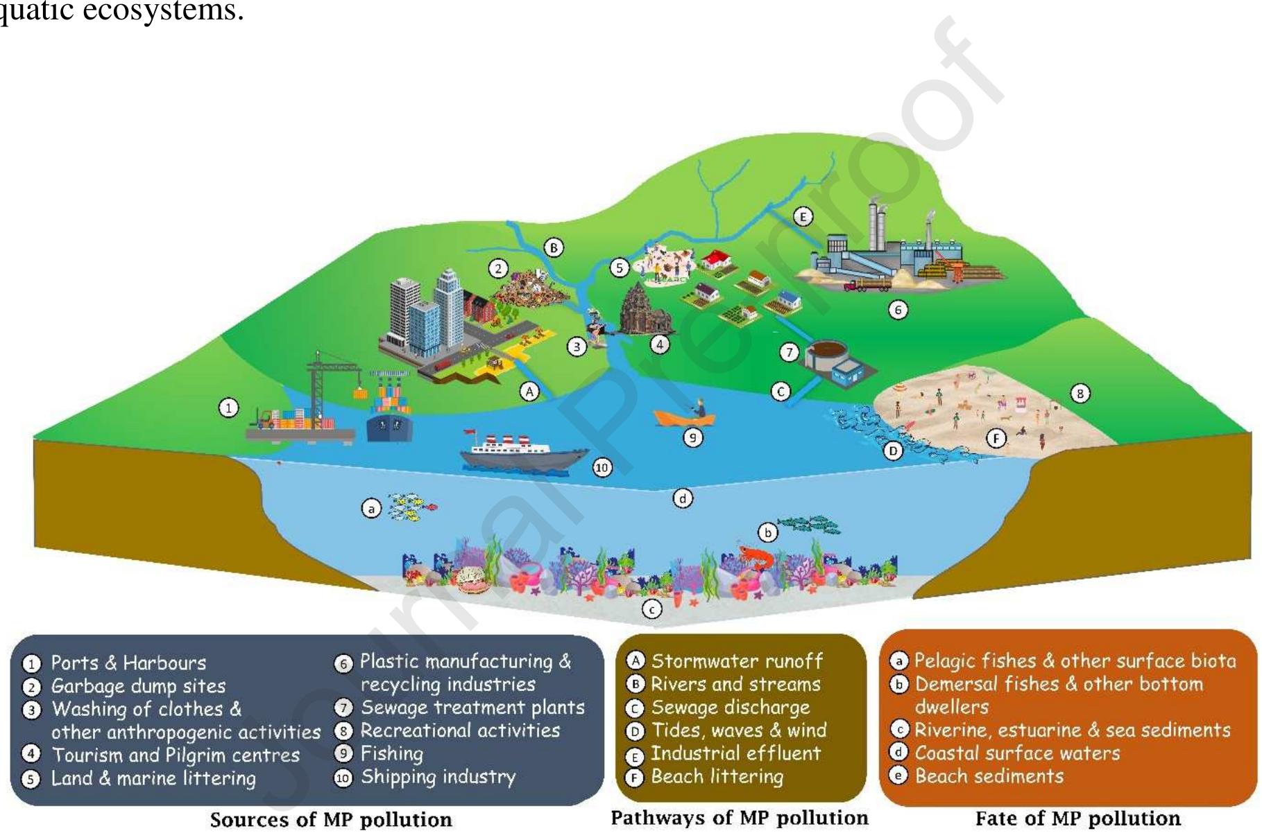 Figure 1 - from Assessment of microplastic pollution in the