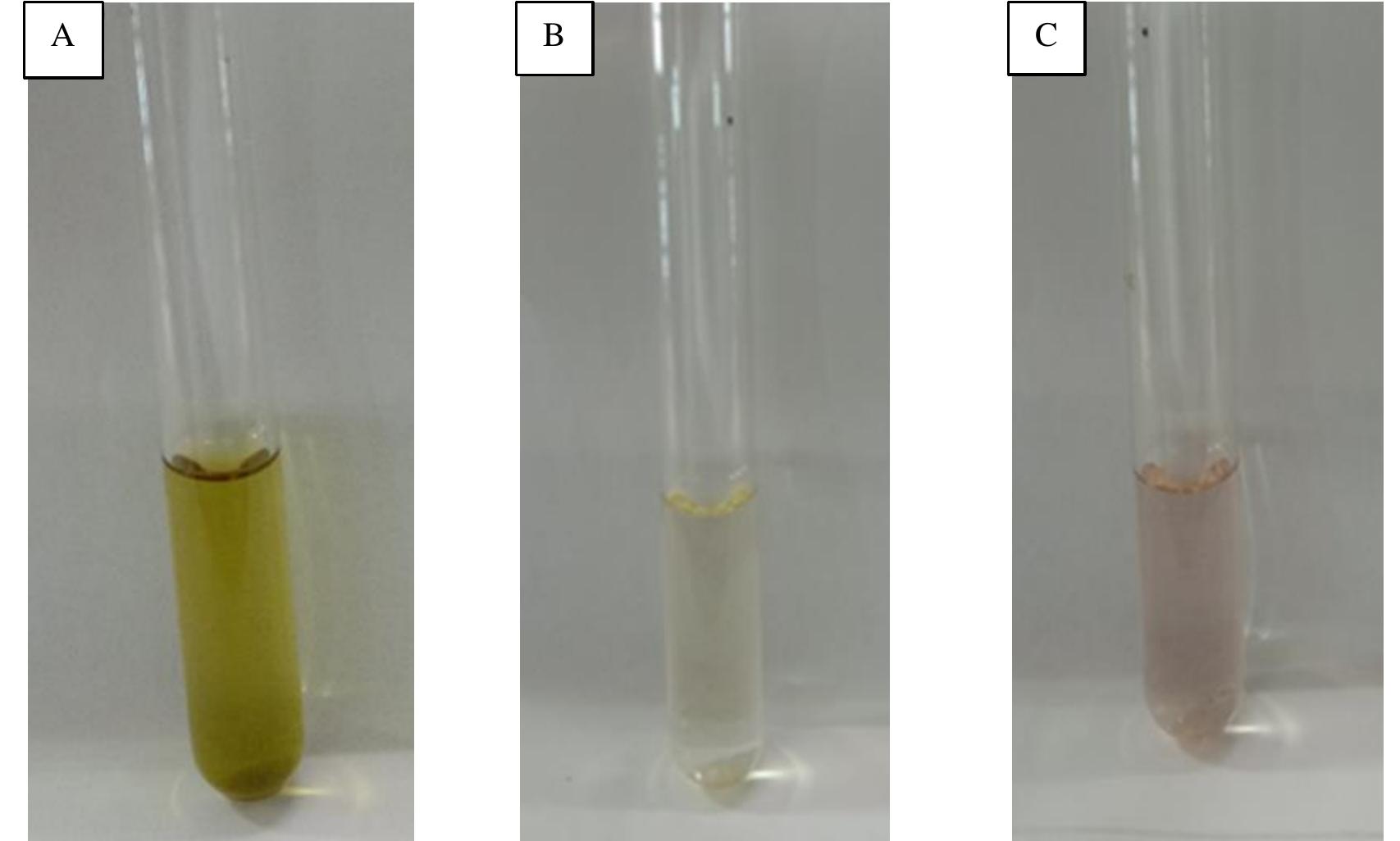 (PDF) Antioxidant Activity of Sunflower (Helianthus Annuus l ...