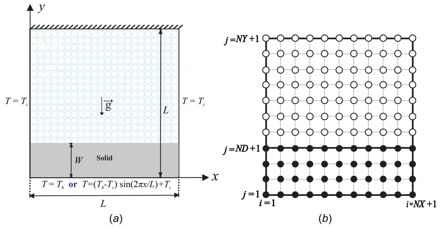 (a) physical model of convection in a porous square cavity
