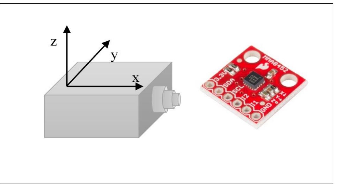 (PDF) A Review of Dynamic Tree Behaviors: Measurement Methods on Tree ...