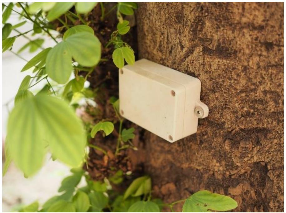 (PDF) A Review of Dynamic Tree Behaviors: Measurement Methods on Tree ...