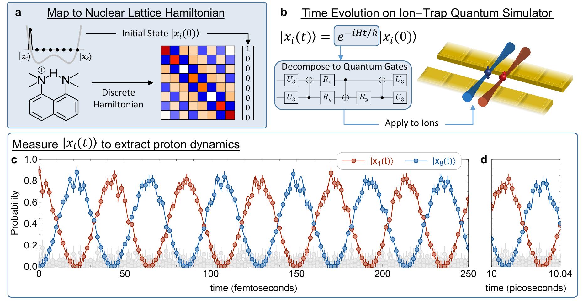 (PDF) Quantum Computation of Hydrogen Bond Dynamics and Vibrational Spectra