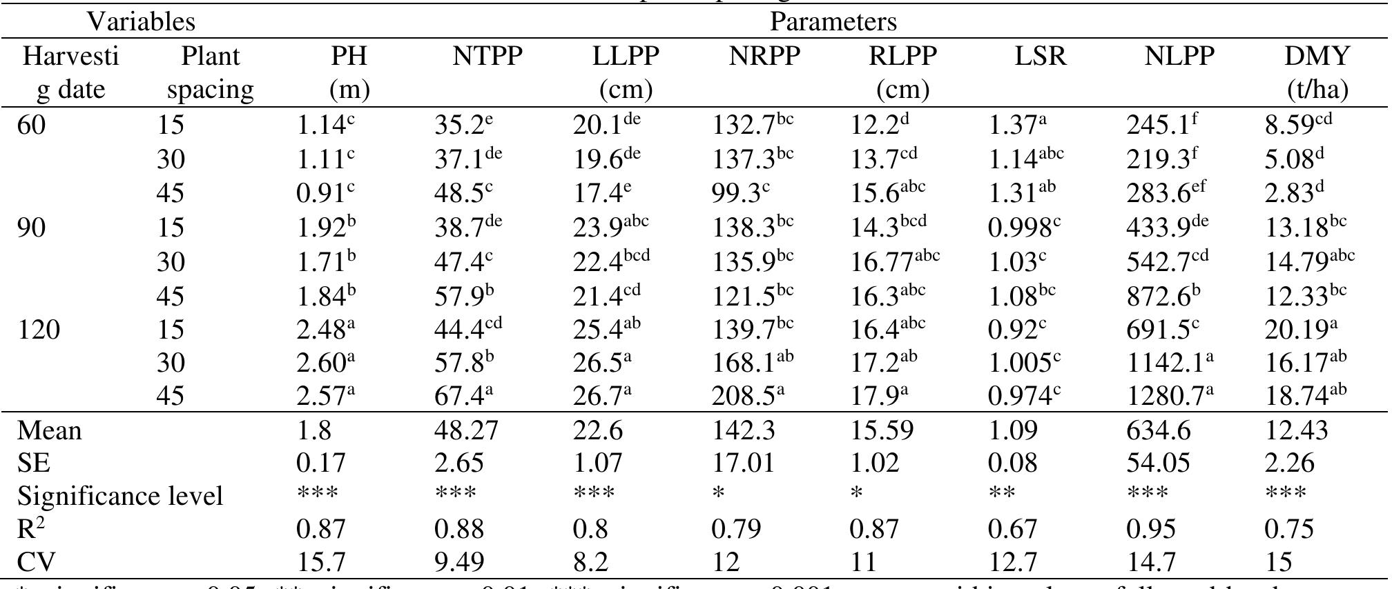 (PDF) Effect of plant spacing and harvesting age on plant ...