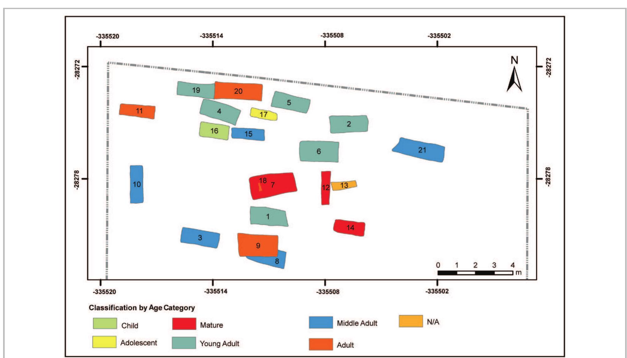 Fig. 9- Distribution of graves by age group. 