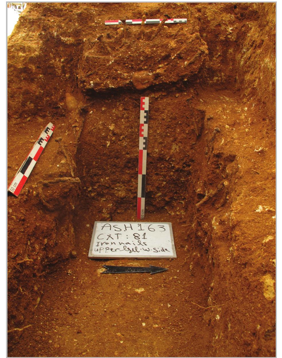 Fig. 11- Coffin lid (Grave No. 6).  wooden coffin size is based on the spatial configuration of nails. Nevertheless, multiple factors might have affected the position of nails such as the collapse and compression of the decaying coffins. The approximate ength of the coffins varies from 1.6 m to 1.75 m and heir width from 0.40 m to 0.65 m. The size of the coffins indicates that the majority were custom-made or the deceased. The only exception is noted in grave No. 2 which is possibly due to the position in which the body was placed. The number of nails varies between graves ranging from 3 to 75. This fluctuation might be either related to the existence of various construction techniques, truncation or poor state of preservation. Grave No.6 produced the largest nail assemblage with seventy-five specimens. Most of these nails are found clustered on the coffin ends and seem to have been employed to secure what appears to be a curved shaped coffin lid (fig. 11). Other nails were used to attach four iron handles (fig. 12). This observation also stands for grave No. 1 which exhibits fourteen nails and two handles. Chronologically, the use of wooden coffins as can be seen through the present  
