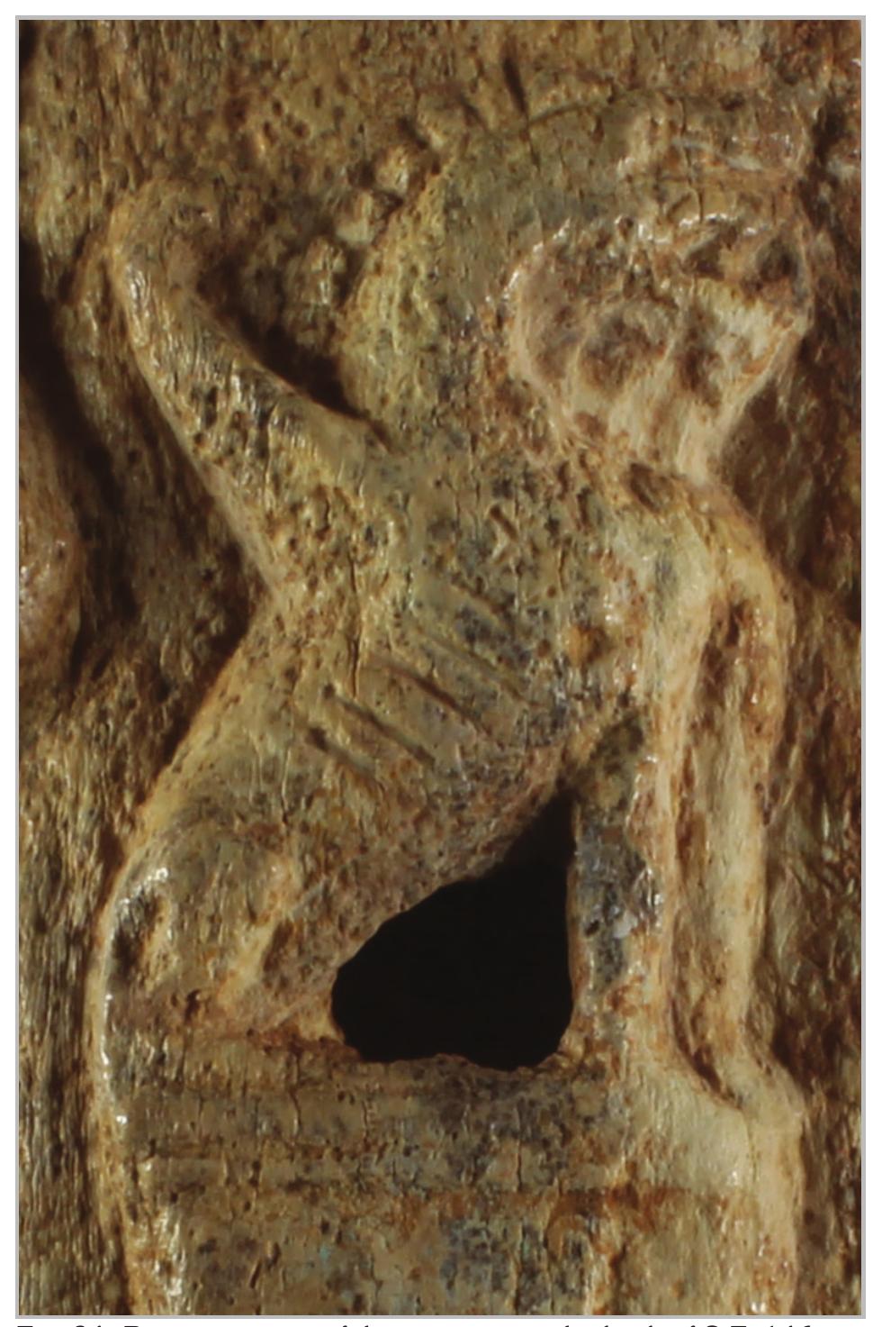 Fig. 24- Representation of the creature on the back of S.F. 146.  The creature on the other side of the bone object could not be identified. The body certainly belongs to a feline, possibly a lion. The head does not seem to be human, nor is one of an eagle. So we cannot confirm if it is a sphinx or a griffon. However, it shows many similarities with the head of the lion on a Chimaira. The Chimaira is a hybrid creature with three heads a lion, a goat, and a snake); it is often depicted with he lion mane, with its mouth open and tongue out, and similar to the creature represented on S.F. 146 fig. 24 to 26). However, the tail is not visible on the representation of S.F. 146. Thus, it was not possible o ascertain if it ends with a snake’s head. Finally, the  detail on the creature’s back could be a wing or the neck and head of the goat (fig. 26). If it is the case, very little details are still visible."'* Additional data and parallels are needed in order to ascertain the identity of the creature represented on the back.  
