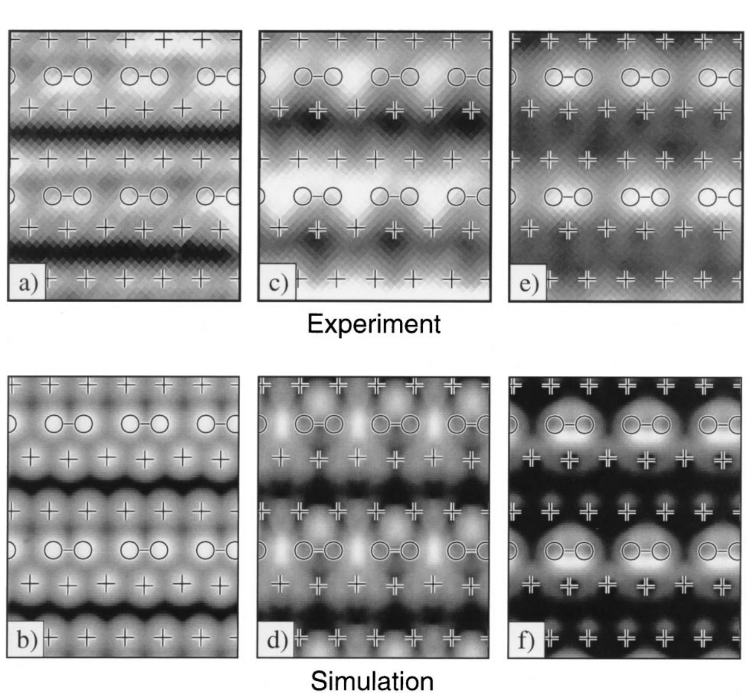 Measured (top) and simulated (bottom) [19] stm images of sb