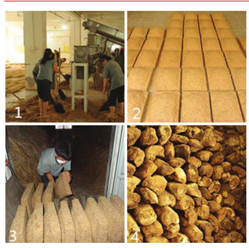 (PDF) Microbial Diversity and Physicochemical Characteristics of the ...
