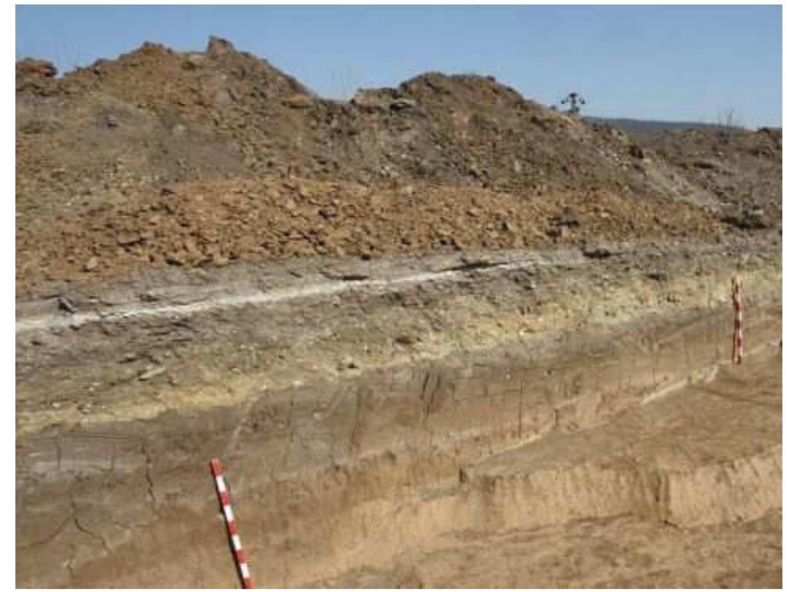 Photo 2 - Mintia-Gerhaz. Preventive campaign 2020. General profile of the research. 