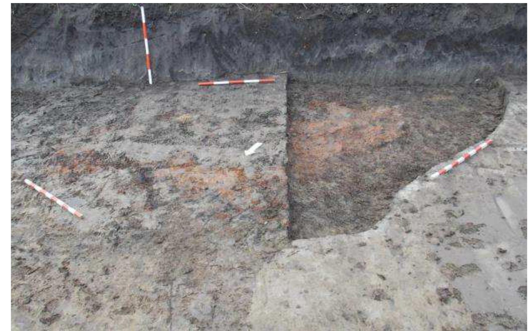 Photo 3 - Mintia-Gerhaz. Preventive campaign 2020. Feature 2. 