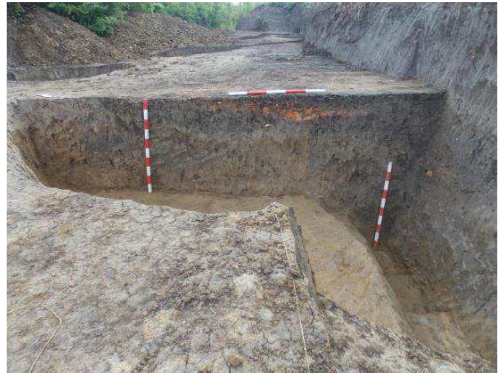 Photo 4 - Mintia-Gerhaz. Preventive campaign 2020. Feature 2 at the section. 