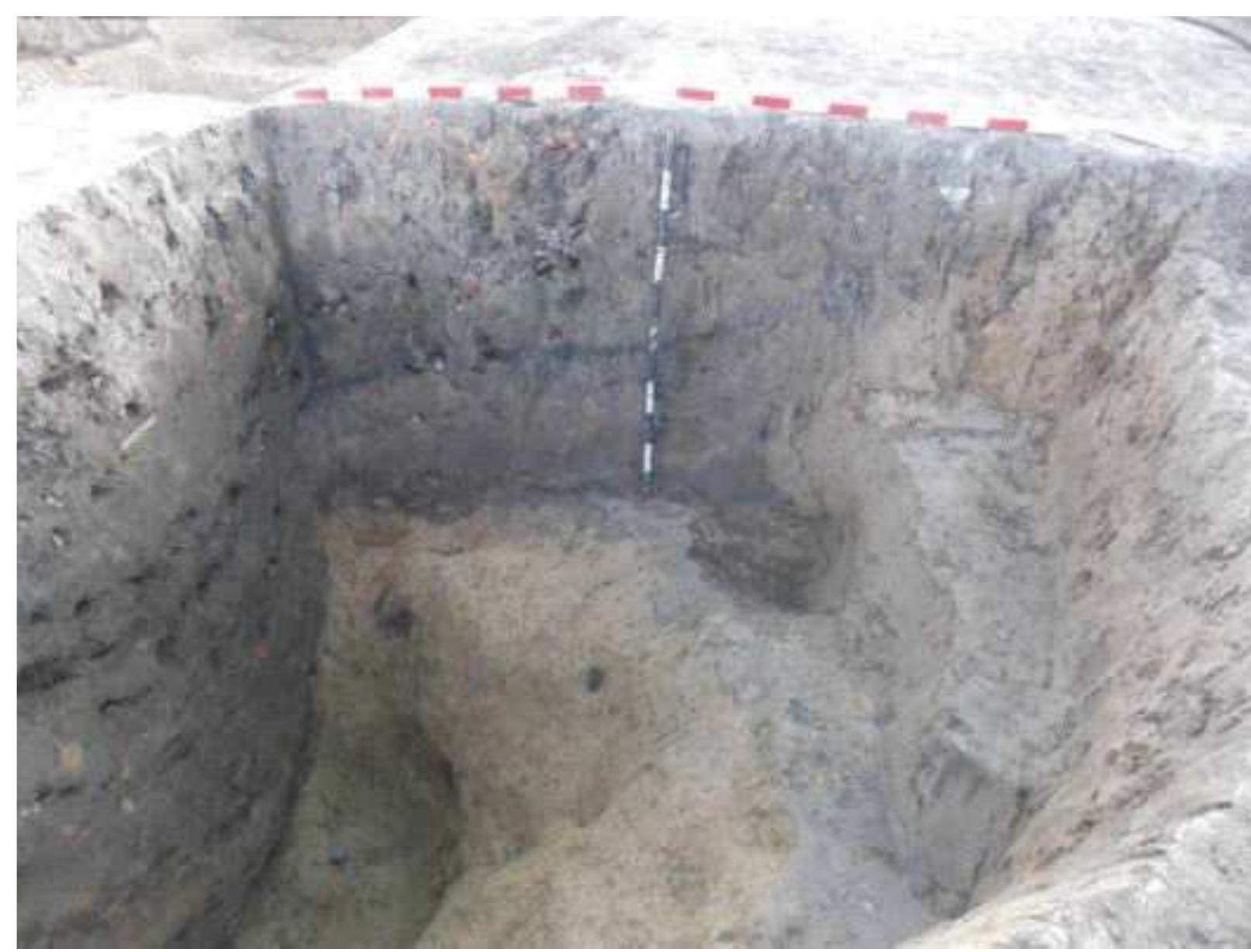 Photo 5 - Mintia-Gerhaz. Preventive campaign 2020. Feature 4 at the section. 