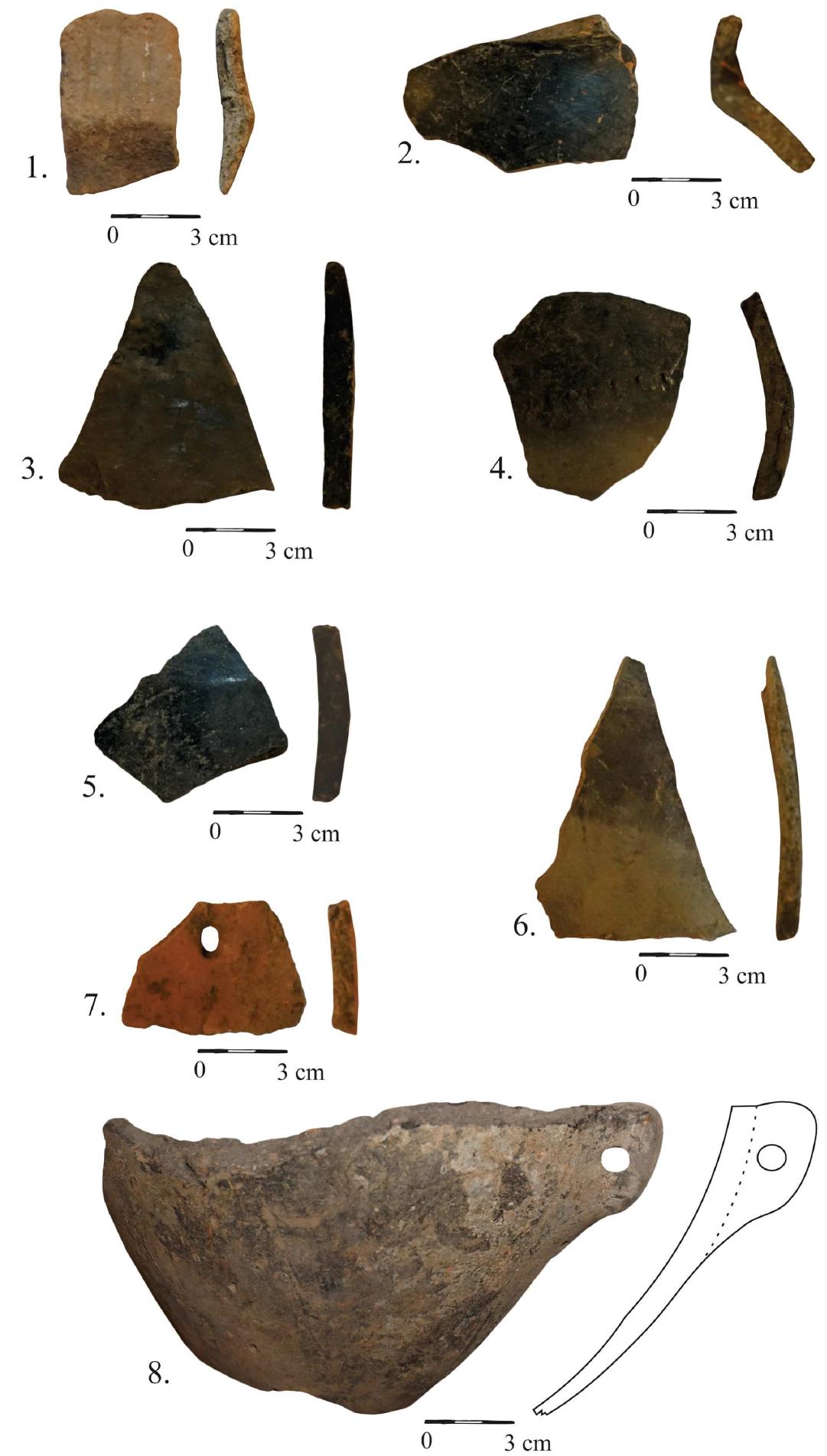 Fig. 2 - Mintia-Gerhat. Preventive campaign 2020. Ceramic material.  1. Semifine category; exterior color: light-brown; interior color: light-brown; temper: sand, silt; good smoothing; good firing; decoration: wide incisions. (Cx. 35); 2. Fine category; exterior color: black- greyish; interior color: black-greyish; temper: fine sand, mica; very good smoothing (traces of polishing, outside); very good firing. (Cx. 3); 3. Fine category; exterior color: dark-brown; interior color: dark-brown; temper: fine sand; very good smoothing (traces of polishing, outside); very good firing (Cx. 3); 4. Semifine category; exterior color: black-greyish in the upper part and coffee-like in the lower part; interior color: black-greyish; temper: sand, mica; very good smoothing; good firing; decoration: impressions made with an object. (Cx. 38); 5. Fine category; exterior color: black-greyish; interior color: black-greyish; temper: fine sand, mica; very good smoothing; very good firing; decoration: vertical strips made by polishing. (Cx. 4); 6. Fine category; exterior color: dark-brown in the upper part and light-brown in the lower part; interior color: brown; temper: fine sand, mica; very good smoothing; very good firing. (Cx. 48); 7. Semifine category; exterior color: brick-like; interior color: brick-like; temper: sand, silt; good smoothing; good firing. It has a circular perforation. (Cx. 3); 8. Semifine category; exterior color: black- greyish; interior color: black-greyish; temper: sand, mica; good smoothing; good firing; decoration: fine  incisions, impressions made with an object (Cx. 3). 