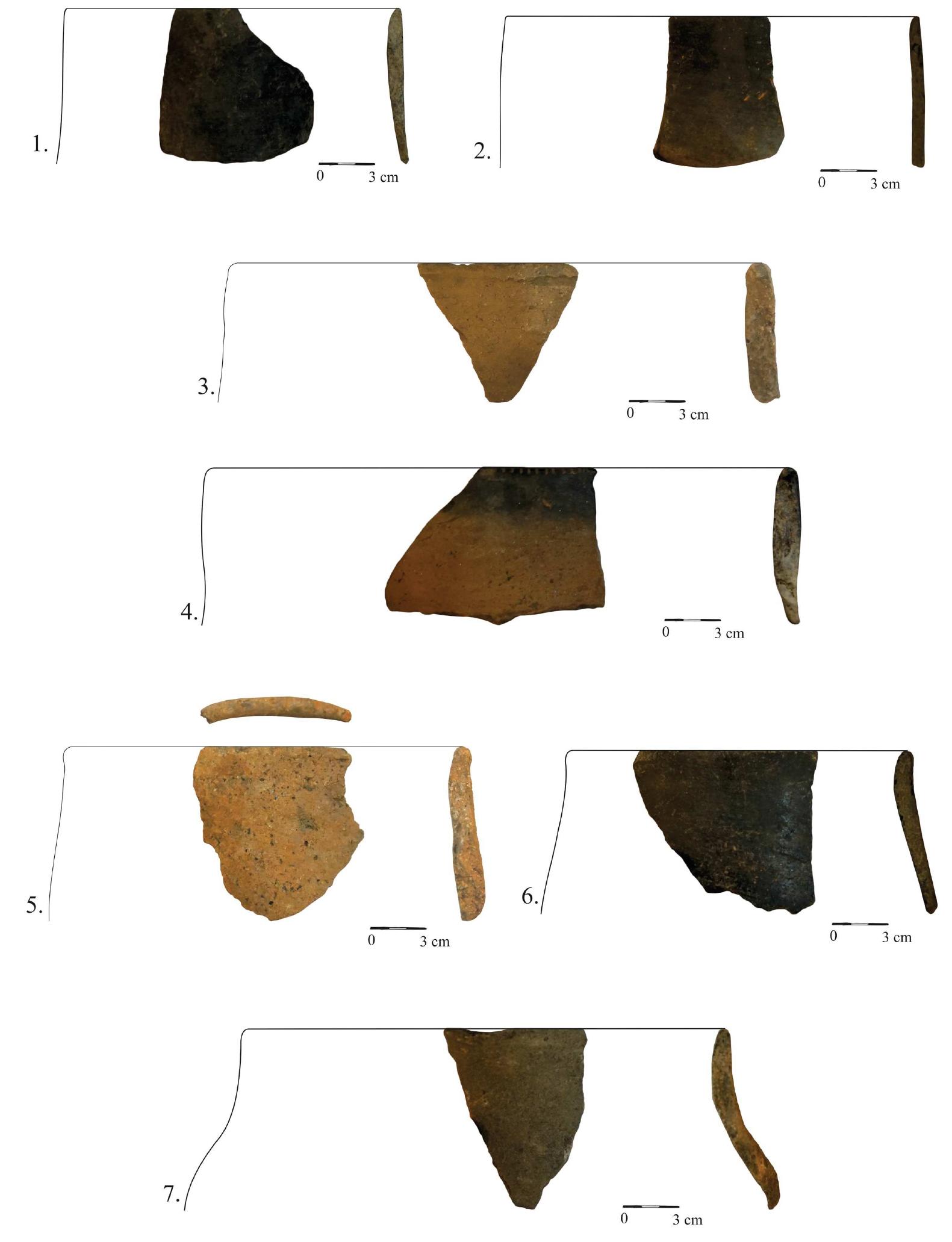 Fig. 5 - Mintia-Gerhat. Preventive campaign 2020. Ceramic material.  1. Fine category; exterior color: black-greyish; interior color: black-greyish; temper: fine sand, mica; very good smoothing; very good firing. (Cx. 33); 2. Fine category; exterior color: black-greyish; interior color: black-greyish; temper: fine sand, mica; very good smoothing; very good firing; decoration: traces of brown painting. (Cx. 38); 3. Rough category; exterior color: light-brown; interior color: light-brown; temper: large grain sand, mica, pebbles; good smoothing; good firing. (Cx. 38); 4. Fine category; exterior color: dark-brown in the upper part and light-brown in the lower part; interior color: dark-brown; temper: fine sand, mica; very good smoothing; very good firing. Notched lip. (Cx. 6); 5. Rough category; exterior color: light-brown; interior color: light-brown, temper: large grain sand, pebbles, mica; poor smoothing; good firing. Notched lip. (Cx. 38); 6. Fine category; exterior color: black-greyish; interior color: black-greyish; temper: fine sand, mica; very good smoothing; very good firing. (Cx. 4); 7. Semifine category; exterior color: brown; interior color: brown; temper: sand; good smoothing; good firing. (Cx. 4). 