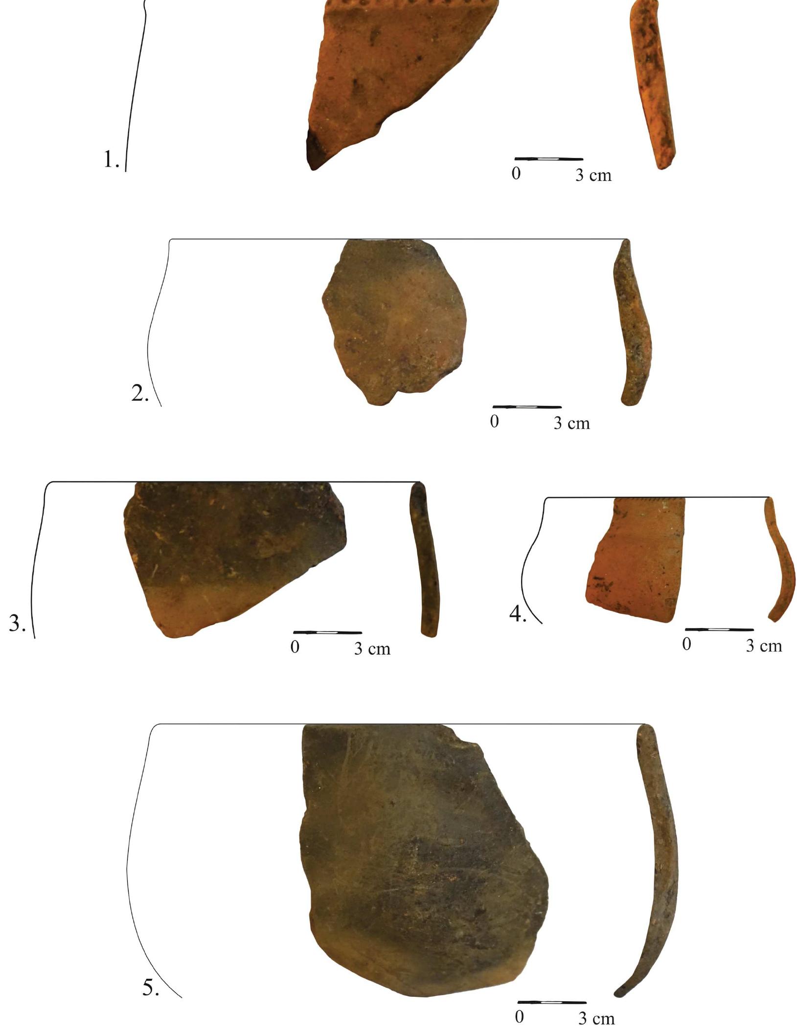Fig. 6 - Mintia-Gerhat. Preventive campaign 2020. Ceramic material.  1. Semifine category; exterior color: brick-like; interior color: brick-like; temper: sand, silt; good smoothing; good firing. Notched lip. (Cx. 3); 2. Rough category; exterior color: brown; interior color: brown; temper: large grain sand, mica; good smoothing; good firing. (Cx. 4); 3. Fine category; exterior color: dark-brown in the upper part and light-brown in the lower aprt; interior color: dark-brown; temper: fine sand, mica; good smoothing; very good firing. (Cx. 3); 4. Semifine category; exterior color: brick-like; interior color: brick-like; temper: sand, mica, silt; good smoothing; good firing. Notched lip. (Cx. 38); 5. Semifine category; exterior color: dark-brown; interior color: dark-brown; temper: sand; good  smoothing; very good firing. (Cx. 38). 