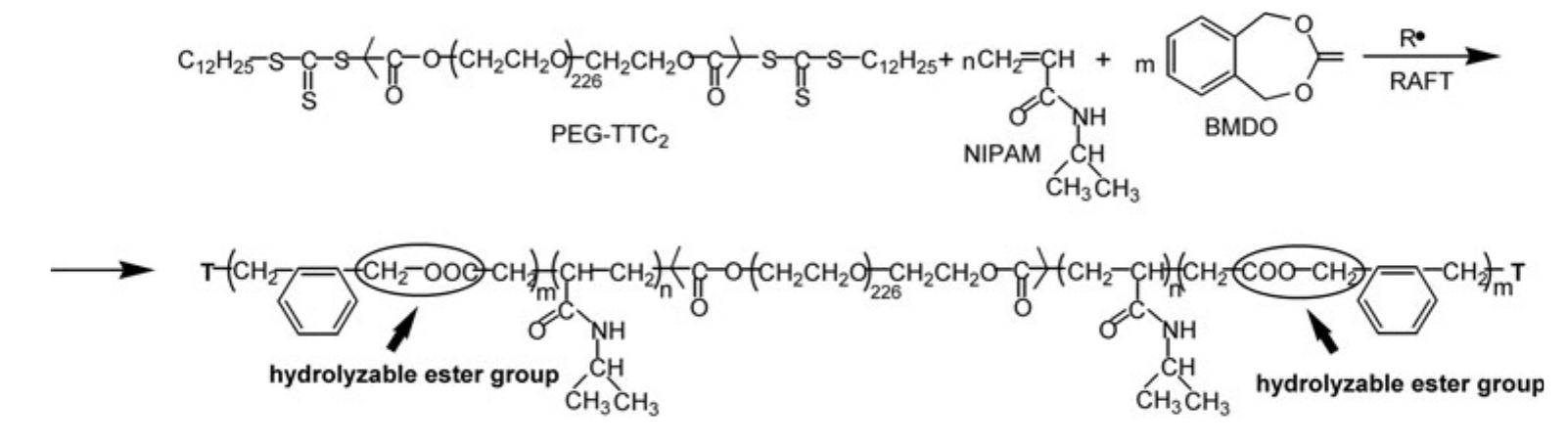 (PDF) ABA triblock copolymers of poly(N-isopropylacrylamide-co-5,6 ...