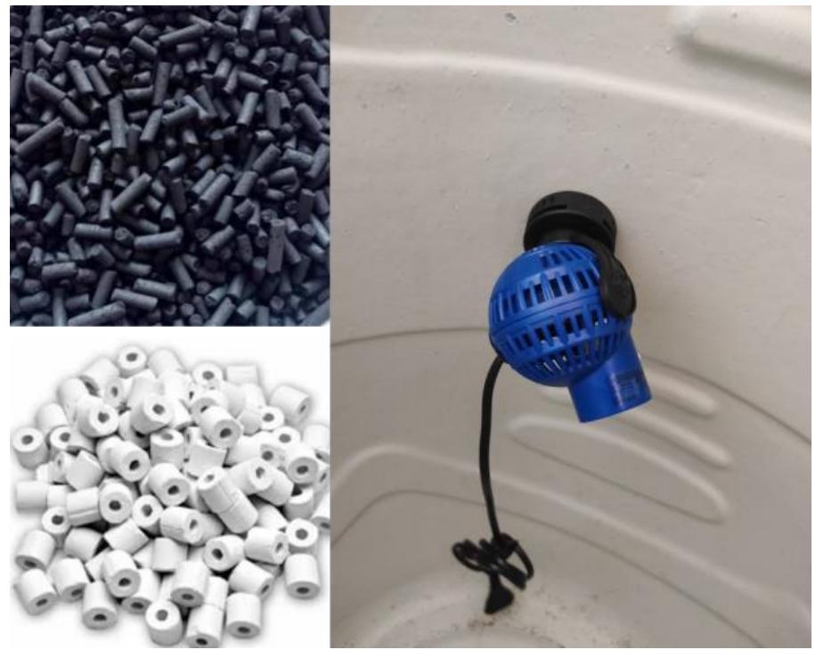 Stone Biofilter (PDF) Design and development of Recirculating Aquaculture System (RAS ...