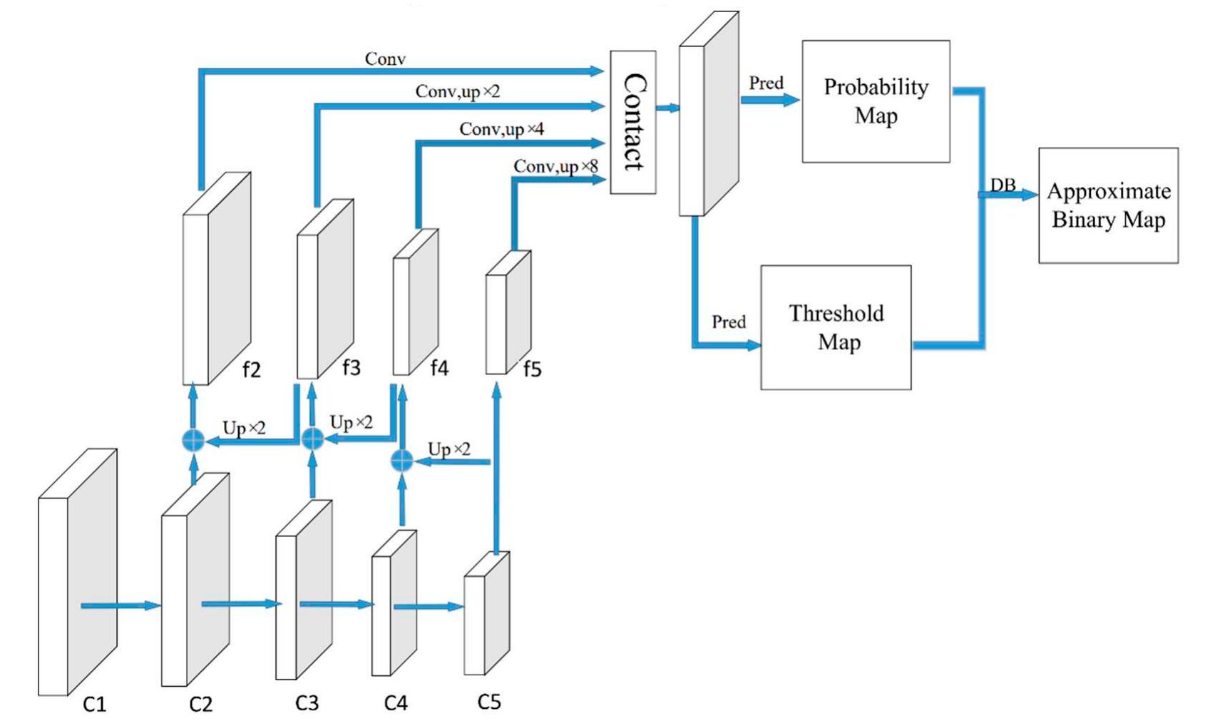 Dbnet model network structure diagram. although the