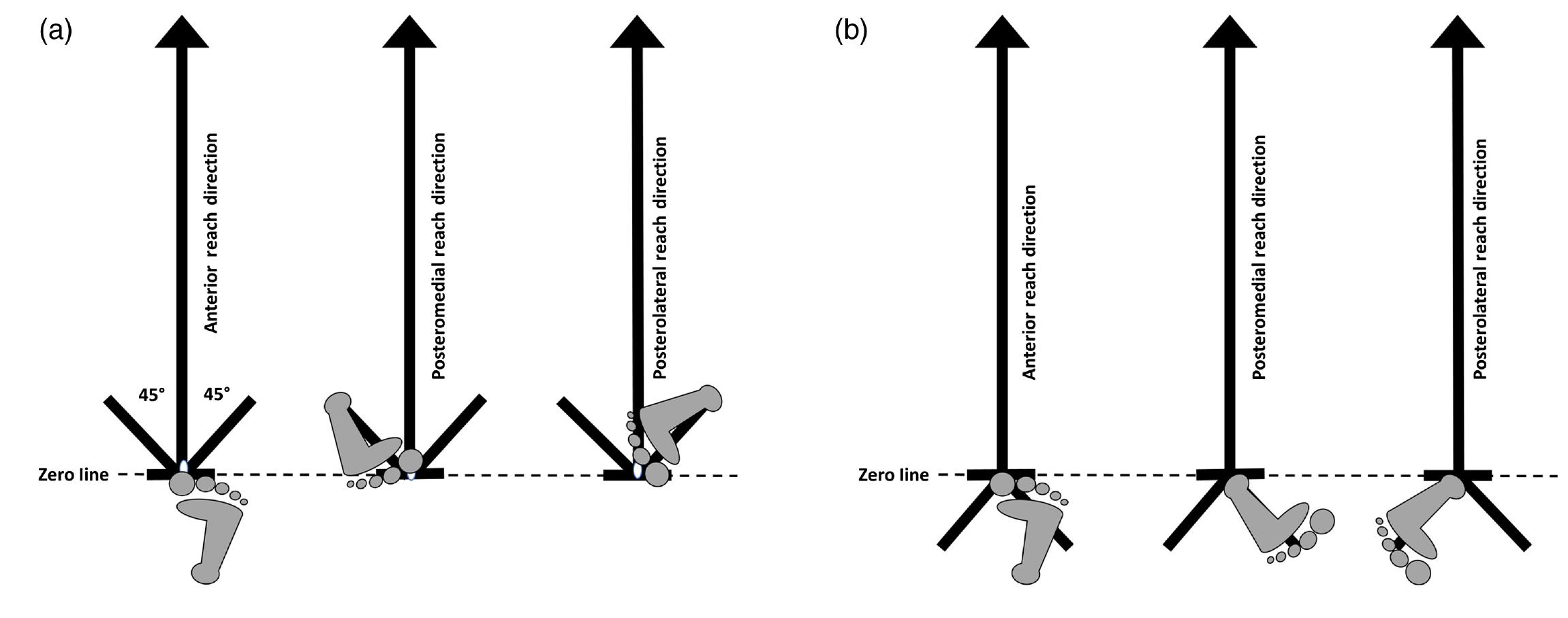 (PDF) The Star Excursion Balance Test: An Update Review and Practical ...