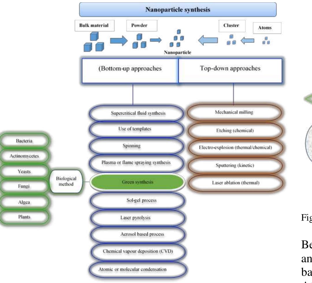 (PDF) Synthesis of Nanoparticles by Green Synthesis Method