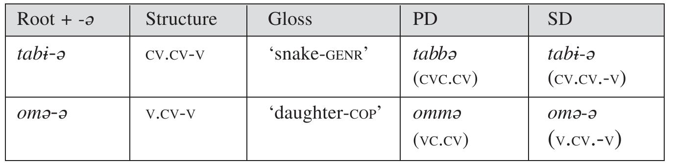 Pd Rood Geminate and non-geminate forms of pd and sd: root words