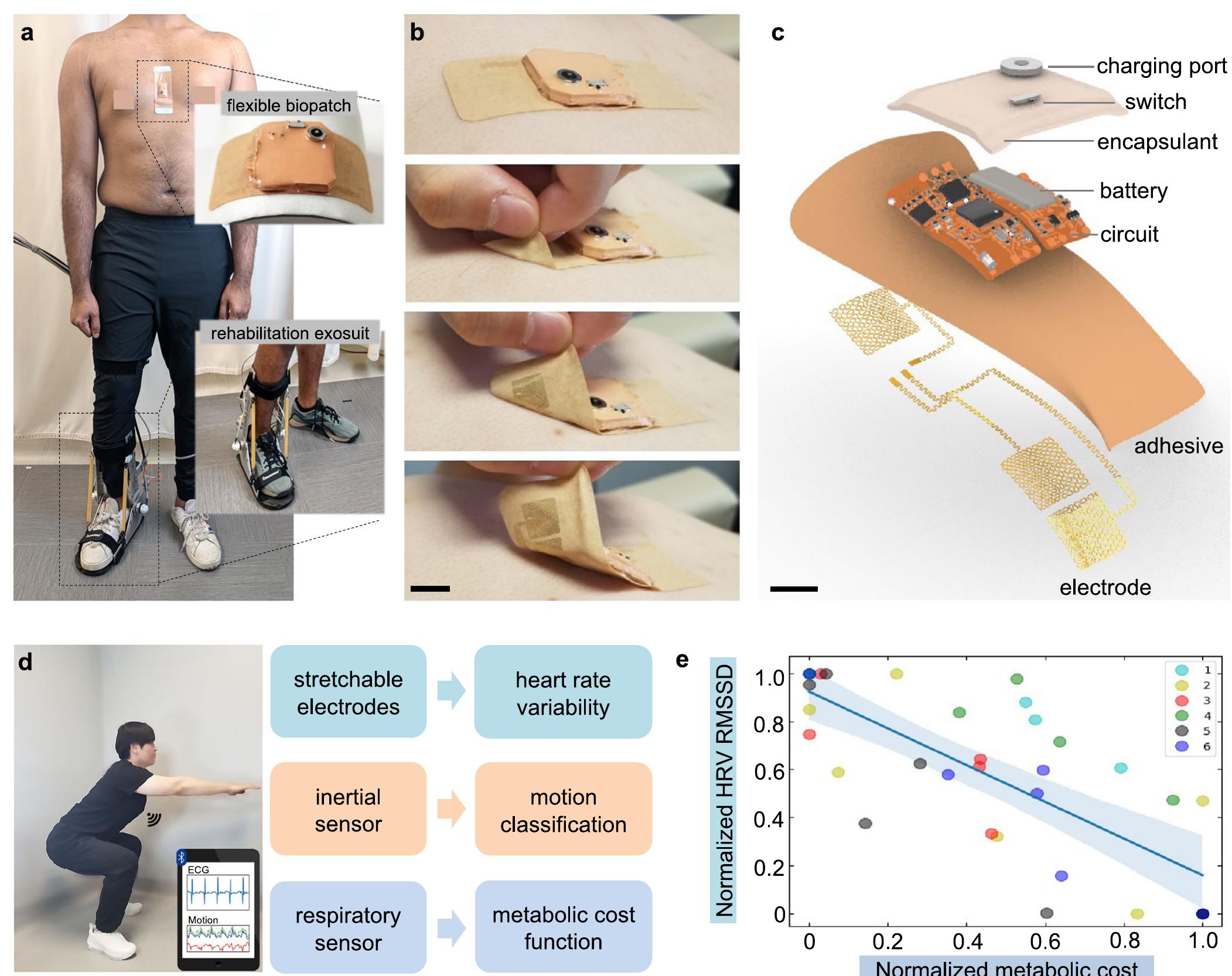 (PDF) Soft wearable flexible bioelectronics integrated with an ankle ...