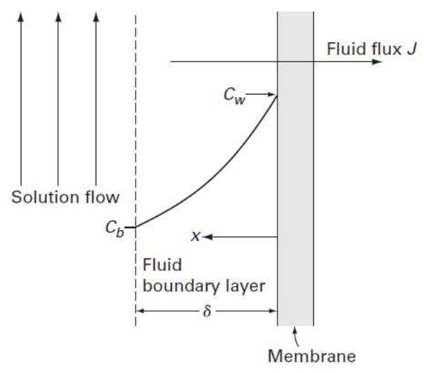 Schematic representation of the boundary layer in crossflow