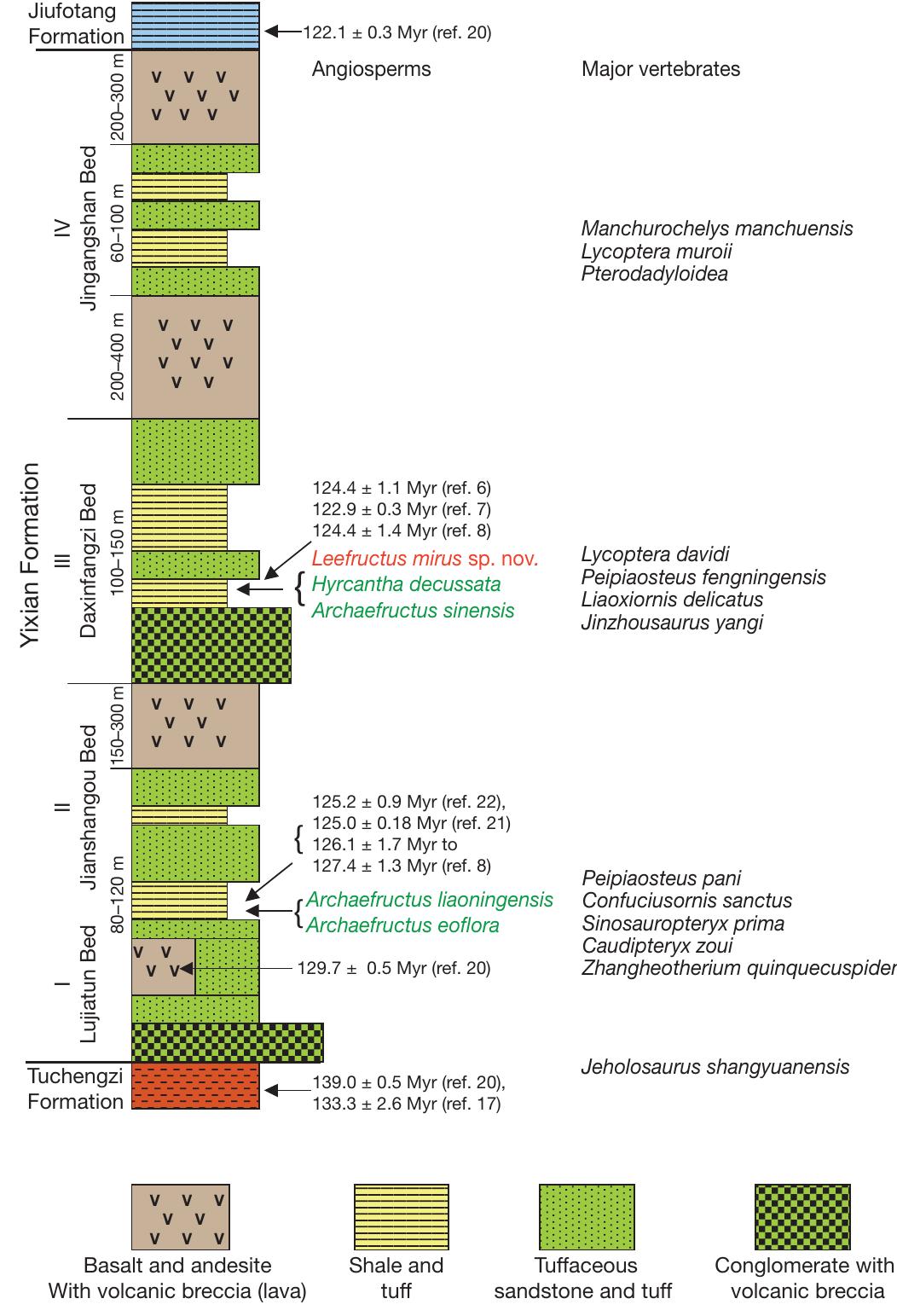 (PDF) A eudicot from the Early Cretaceous of China