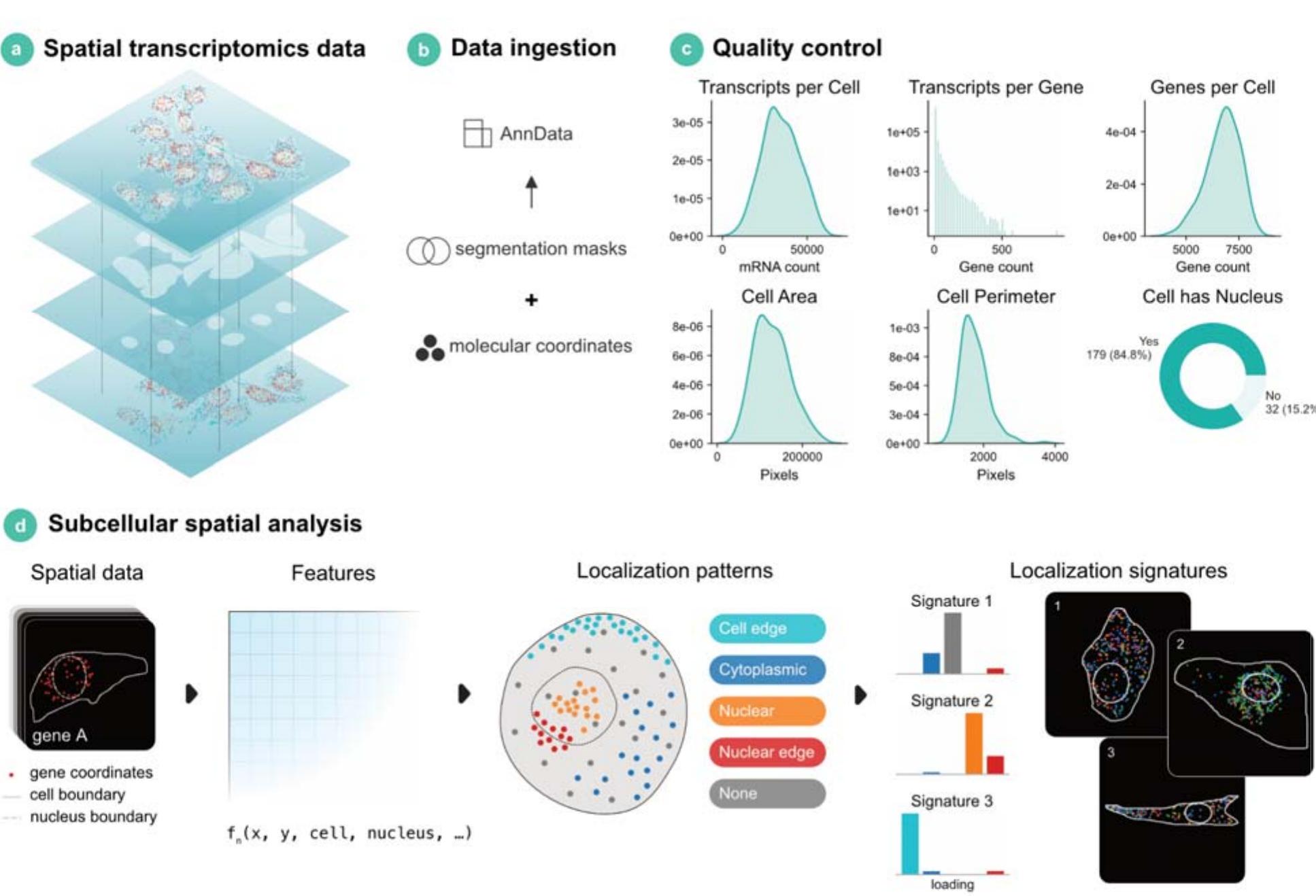 (PDF) Bento: A toolkit for subcellular analysis of spatial ...