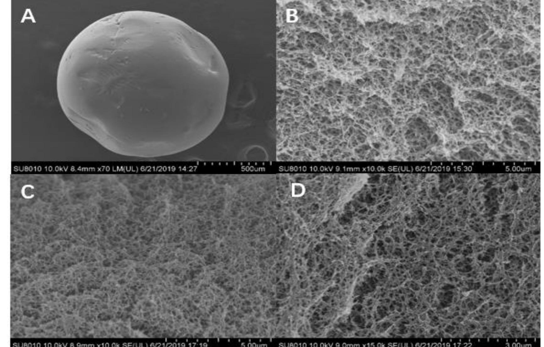 (PDF) Adsorption of Deoxynivalenol (DON) from Corn Steep Liquor (CSL ...