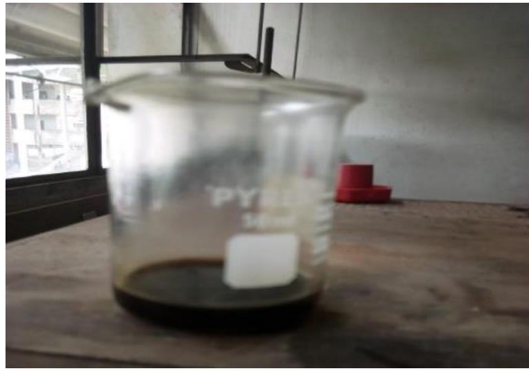 Figure 2. The Chrysophyllum albidum Seed Oil 