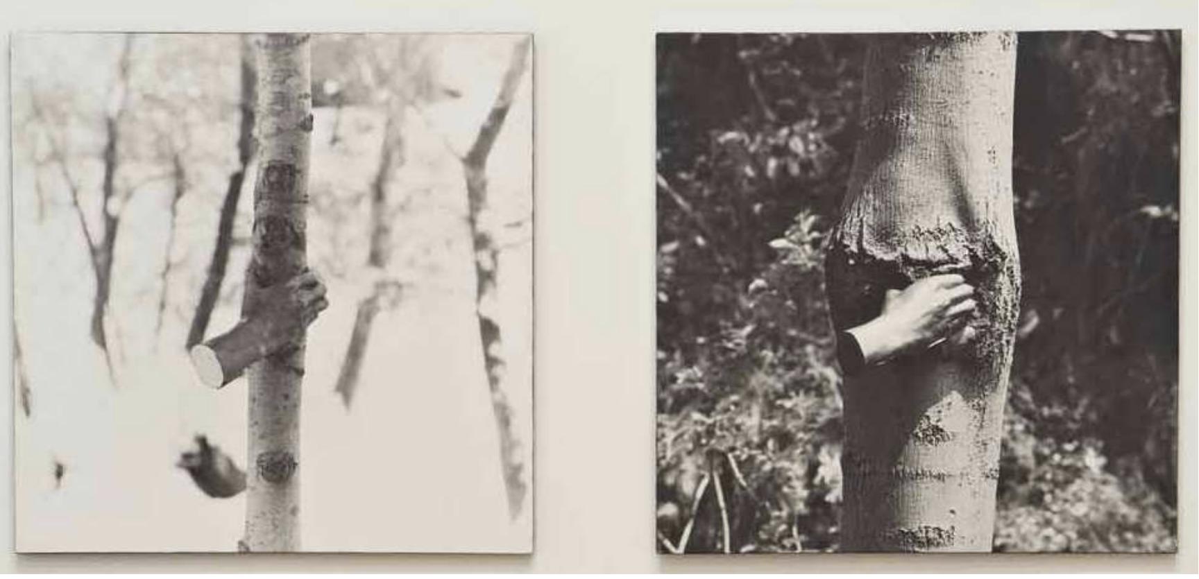 アート・デザイン・音楽 Giuseppe Penone Writings 1968-2008 Giuseppe Penone | 266 Artworks at Auction | MutualArt