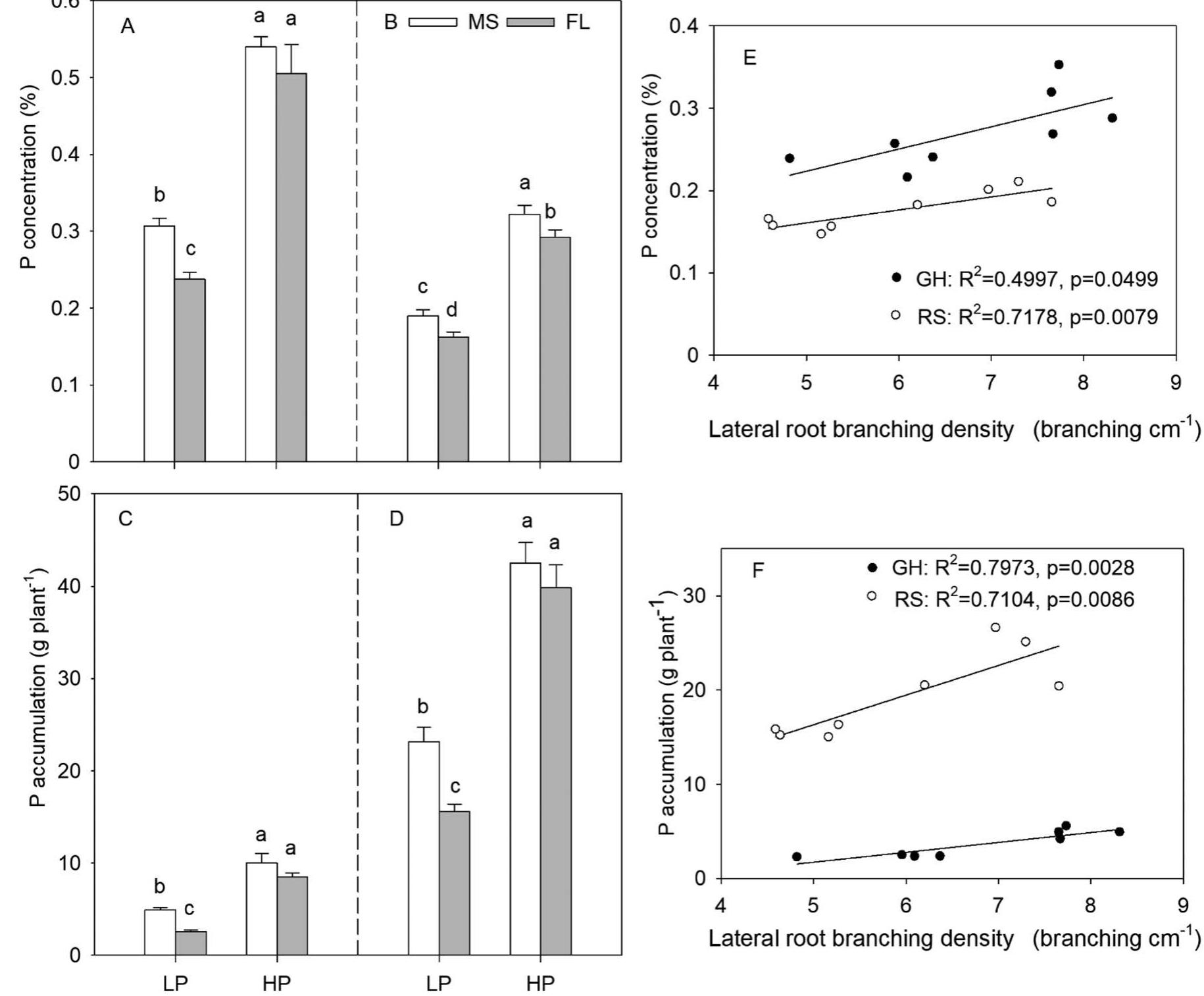 (PDF) Greater lateral root branching density in maize improves ...