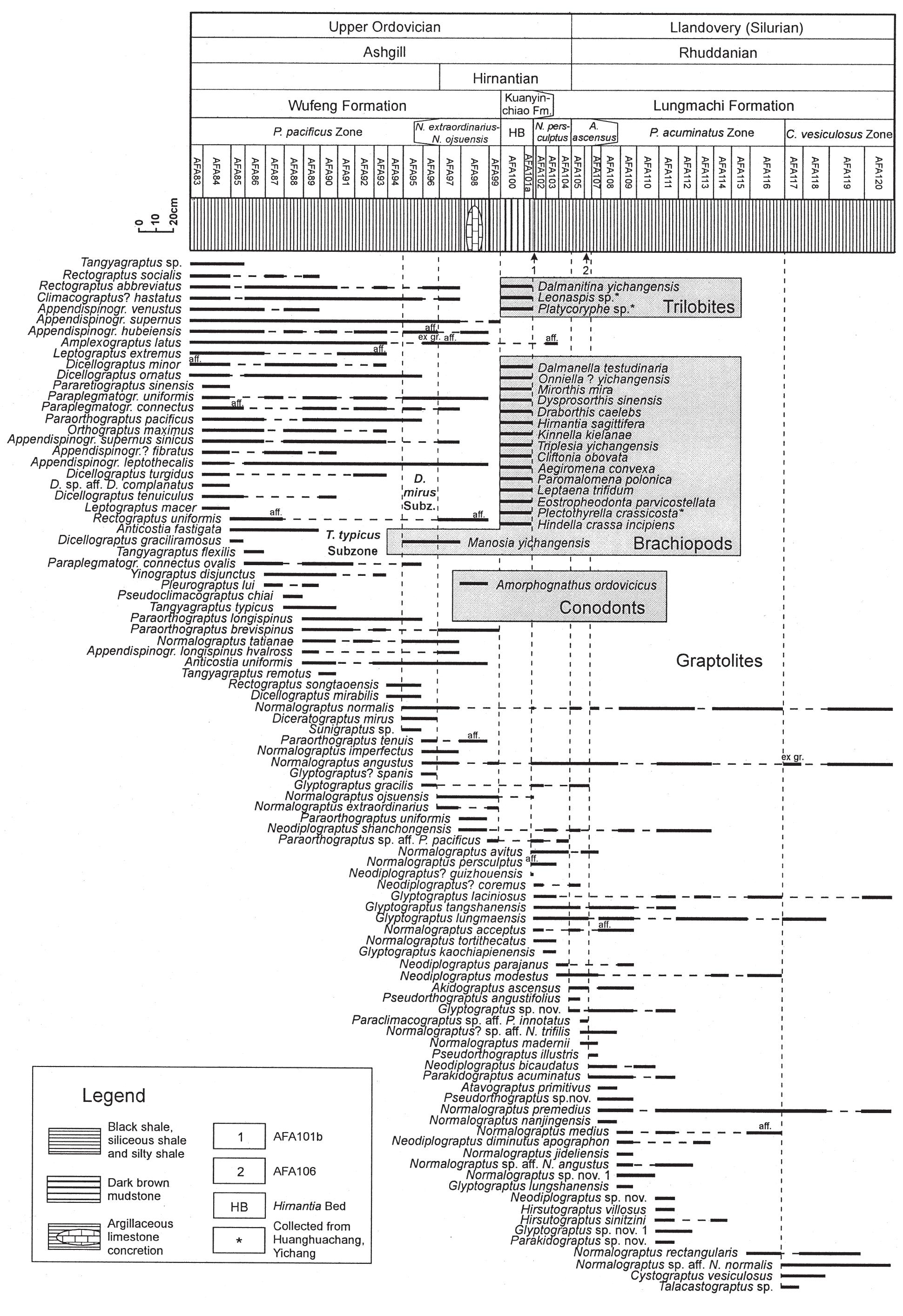 Lithological column and the vertical distribution of