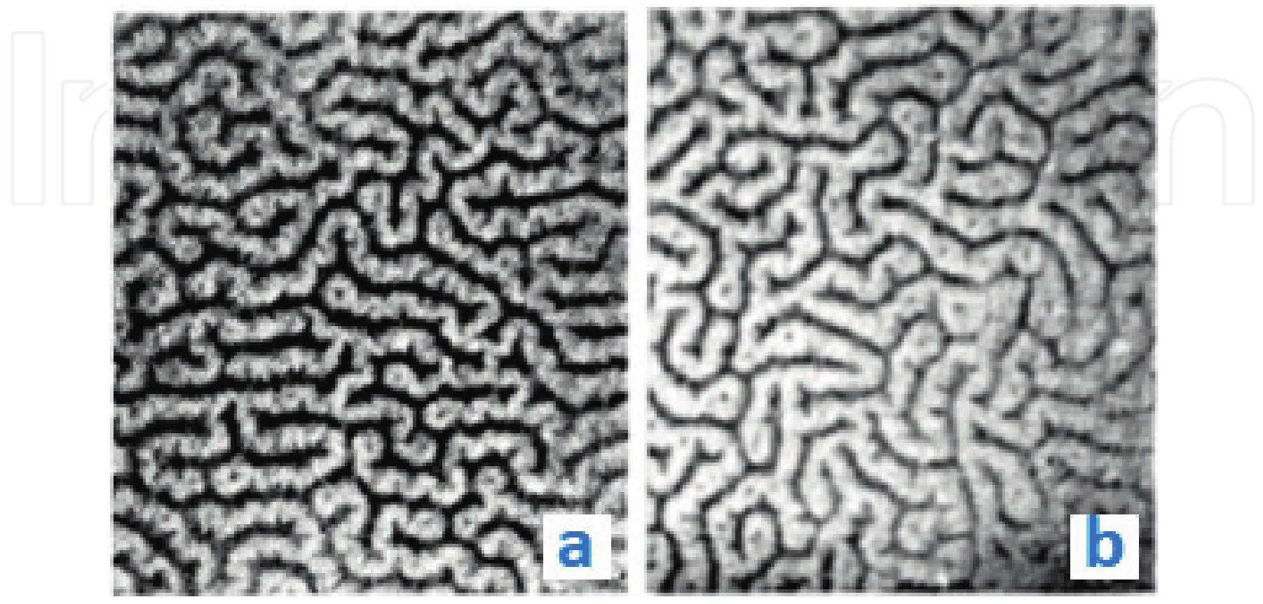 Figure 7 - from The Intermediate State in Type I