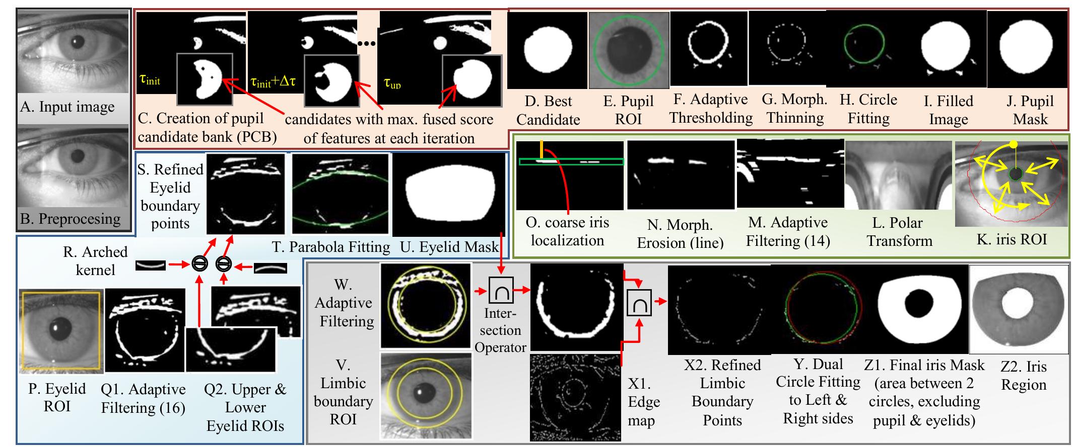 (PDF) IrisSeg: A fast and robust iris segmentation framework for non ...