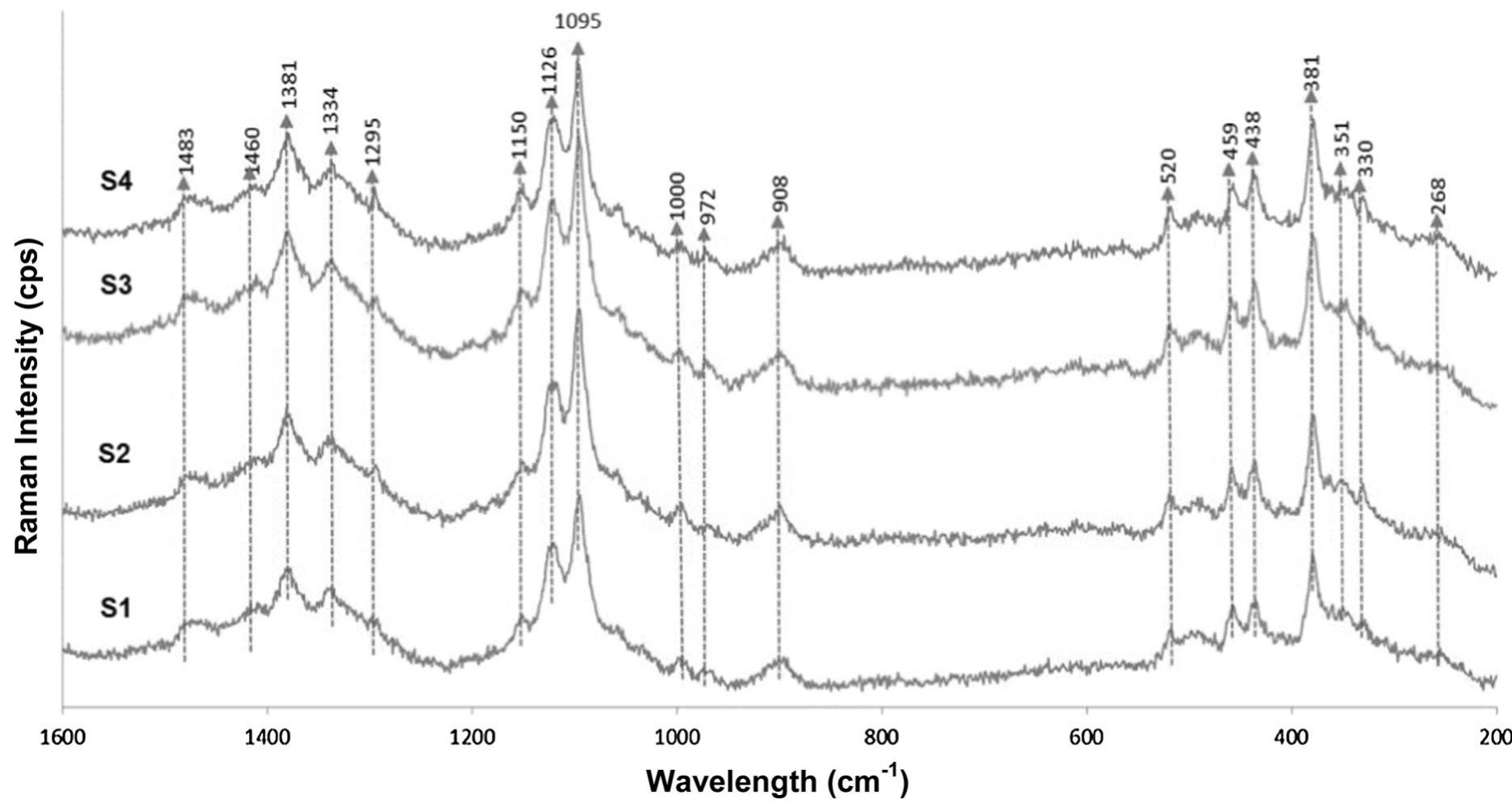 Cellullose Ii Raman Figure 2 - from ALKALI AND BLEACH TREATMENT OF THE EXTRACTED