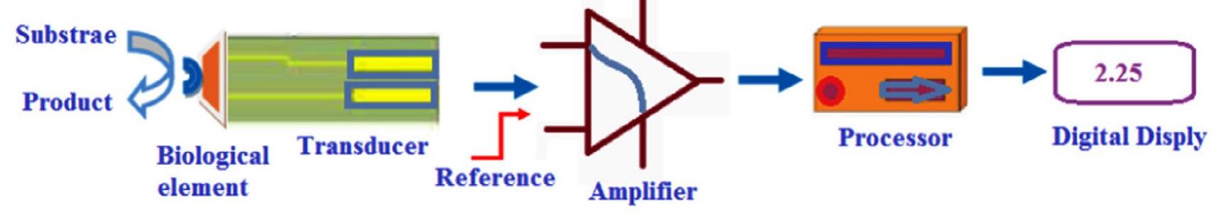 Schematic representation of a biosensor (adapted from ref