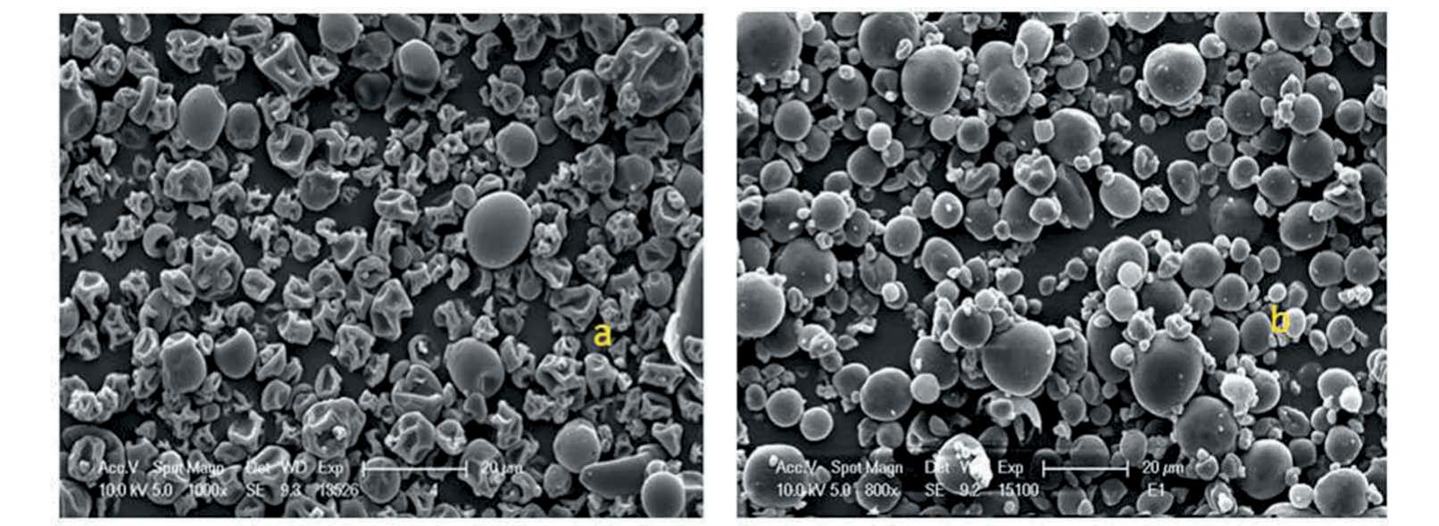 (PDF) Microencapsulation of Fish Oil Using Fish Protein Hydrolysate ...