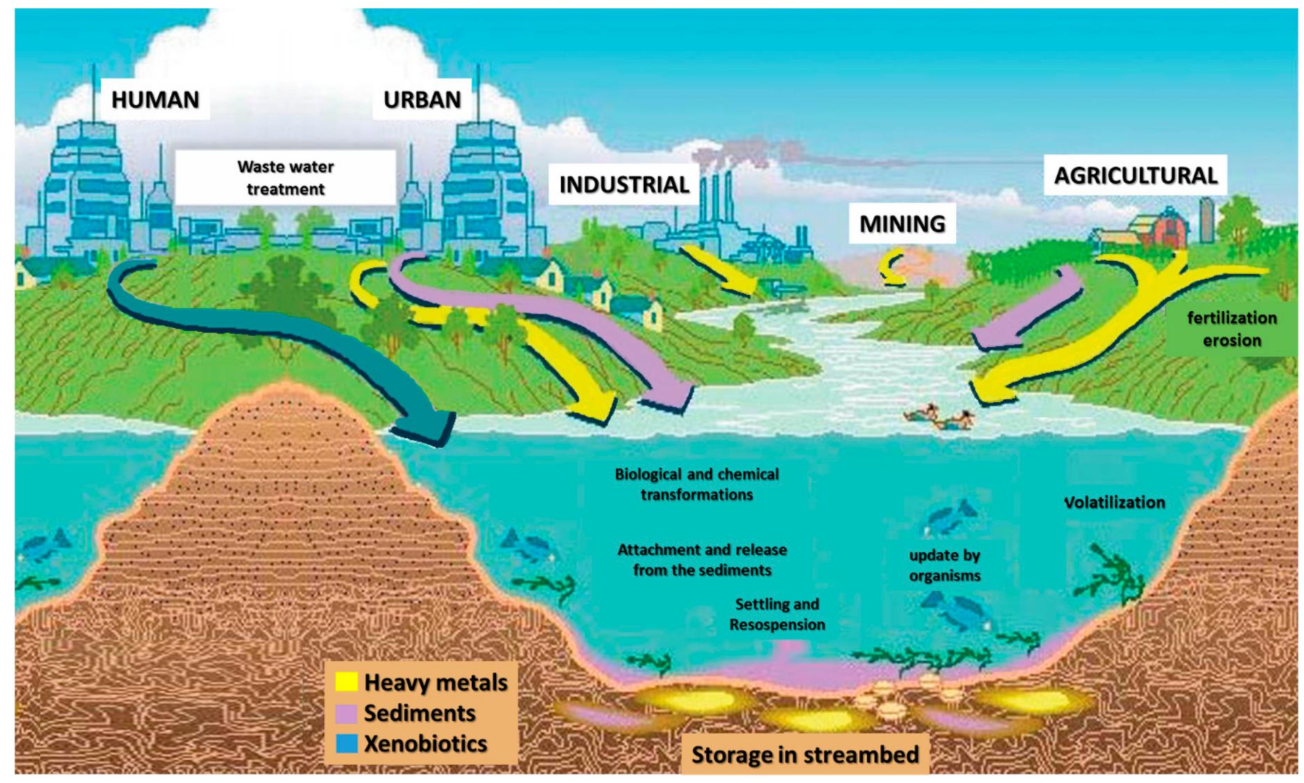 Figure 1. Connections and sources of xenobiotics that are poured into the environment as result of human activities.  In light of what we have seen so far and what is reported in Figure 1, the massive prob- lem inherent in the environmental monitoring of molecules that are harmful (or potentially harmful) both for the environment and for all living organisms is clearly highlighted. 