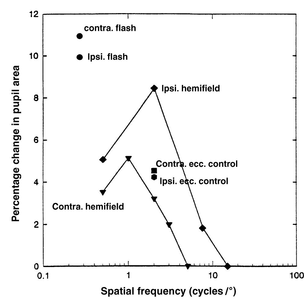 (PDF) Learning from the pupil: a spatial visual channel in the absence ...