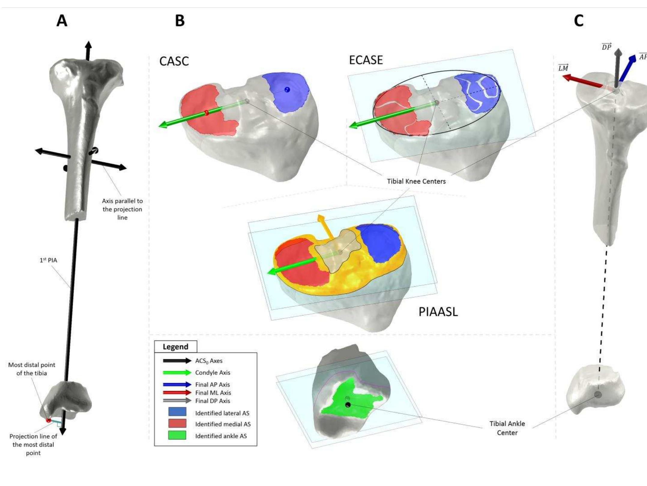 (PDF) Articular-surface-based automatic anatomical coordinate systems ...