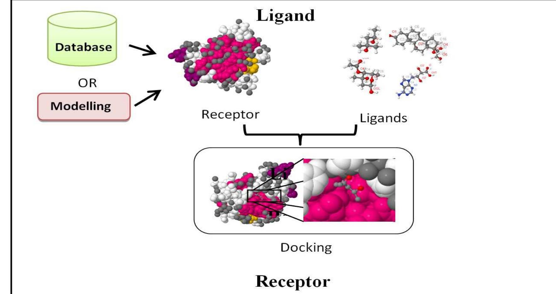(PDF) Advances in molecular modeling and docking as a tool for modern ...
