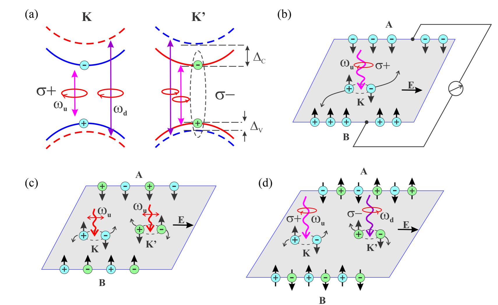 (PDF) Coupled spin and valley polarization in monolayer HfN2 and valley ...