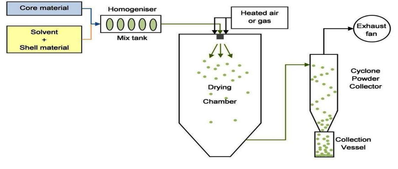 Schematic representation of spray dryer **! and mass