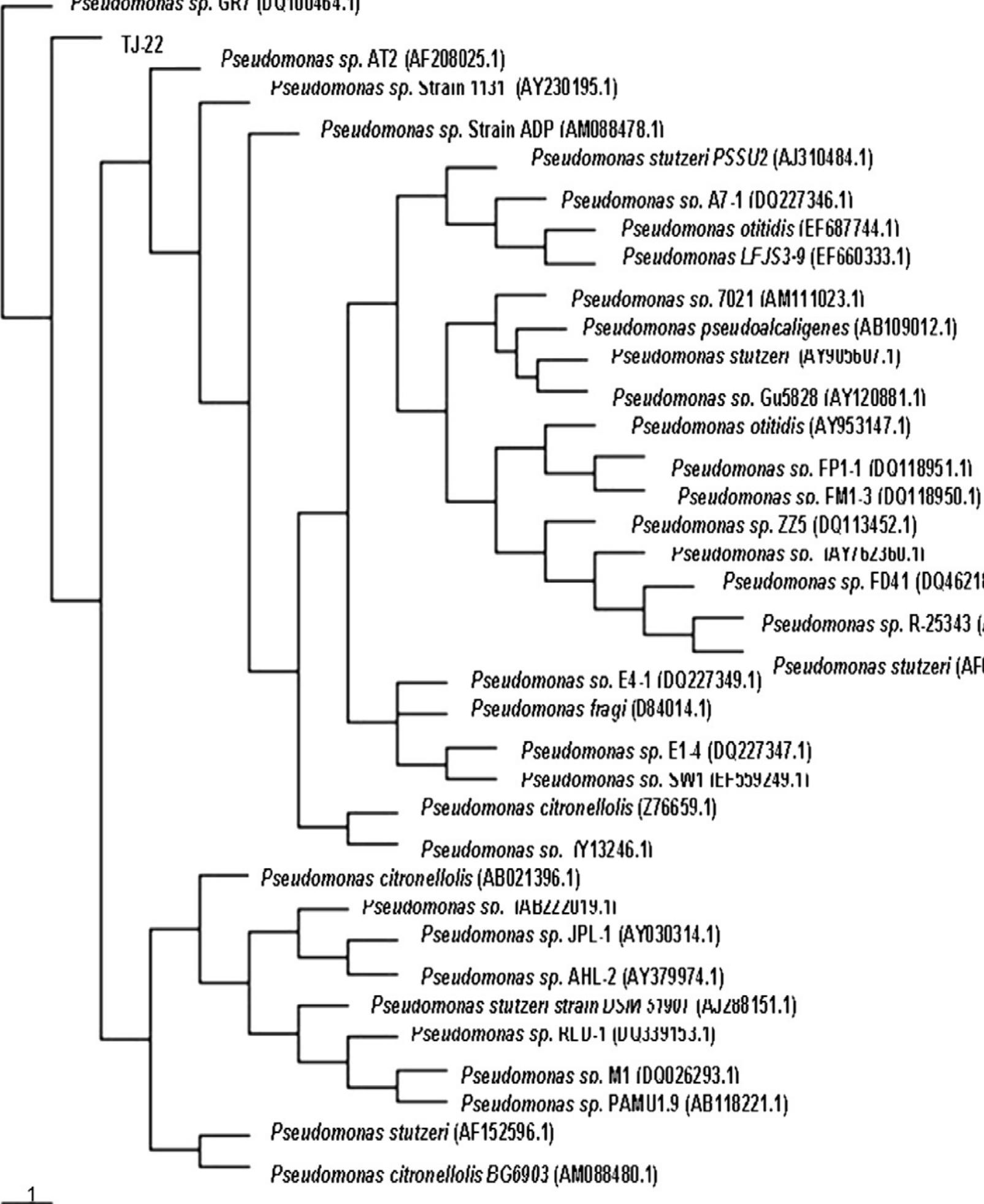 Figure 2 - from Application of a novel bacterial consortium