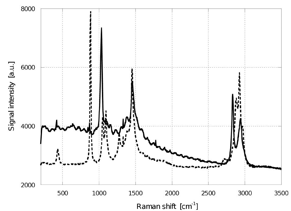 Raman spectra of methanol (continuous line) and ethanol